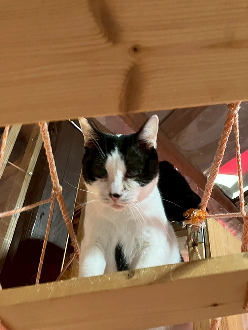 大切な思いこれから