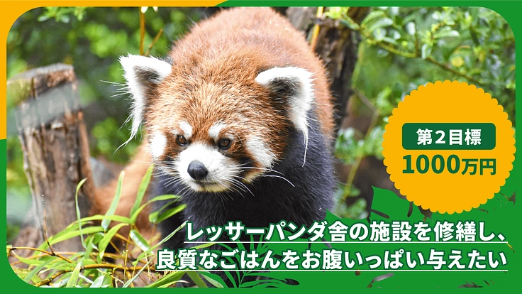 群馬サファリパーク｜命を育む世界を守り継ぐ。新たな一歩にご支援を 3枚目