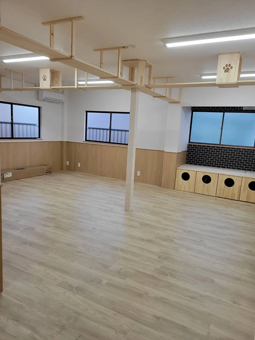 新店舗　内装工事の進行具合