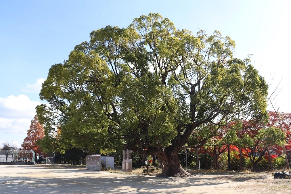 ありがとうございました