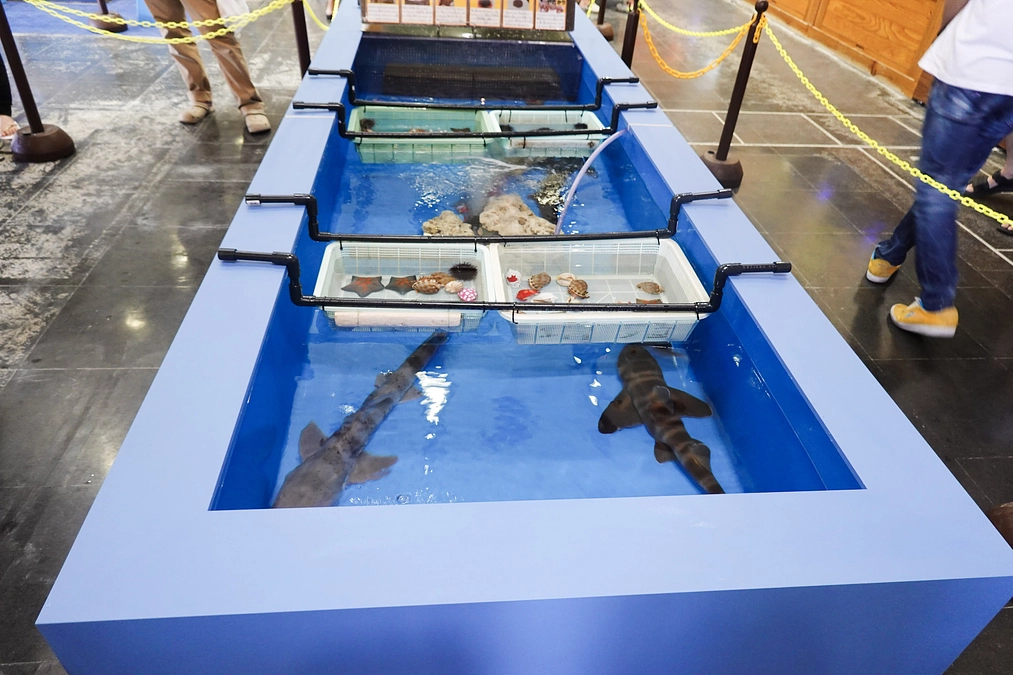 体験が始まりました！