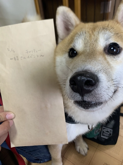 代理支援御礼m(_ _)m