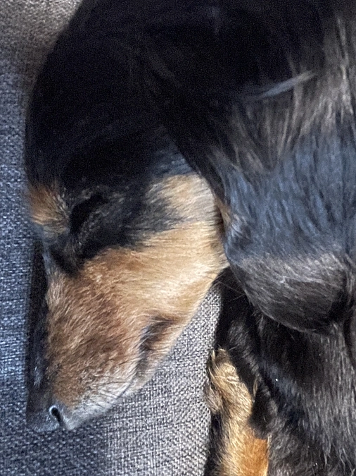 無事に達成させていただけました、クゥの為に感謝いたします☺