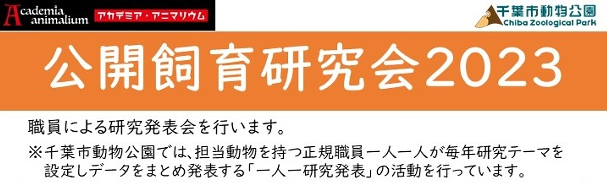 風太の給餌について研究発表します！