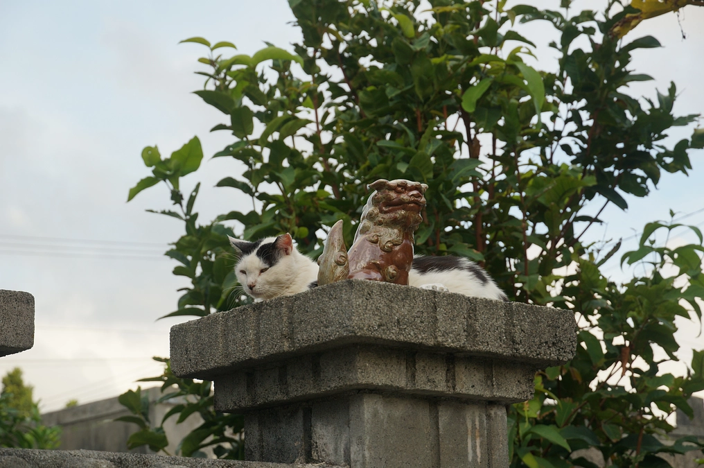 原田 健一様から応援コメントをいただきました。