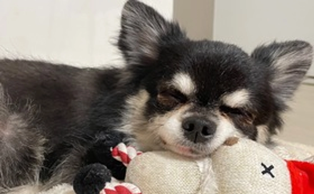 感謝のメッセージとのあの写真1