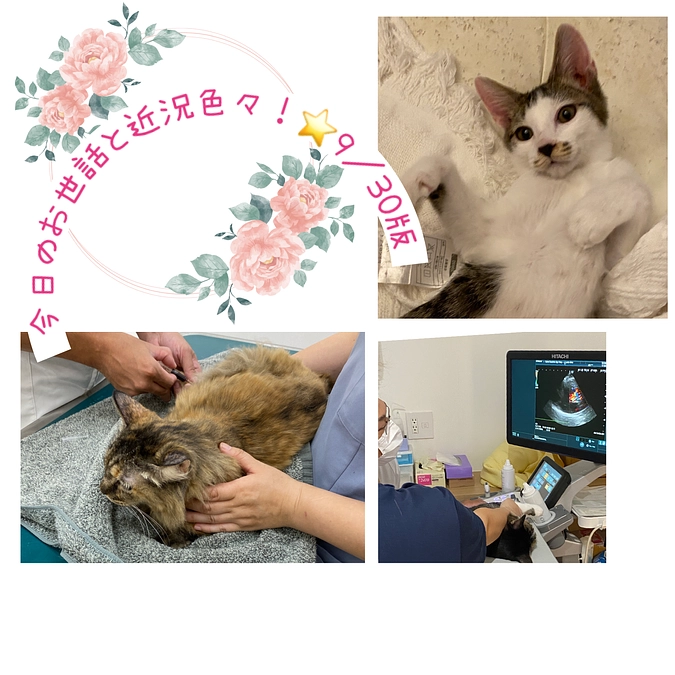 今日のお世話と近況色々⭐️9／30版