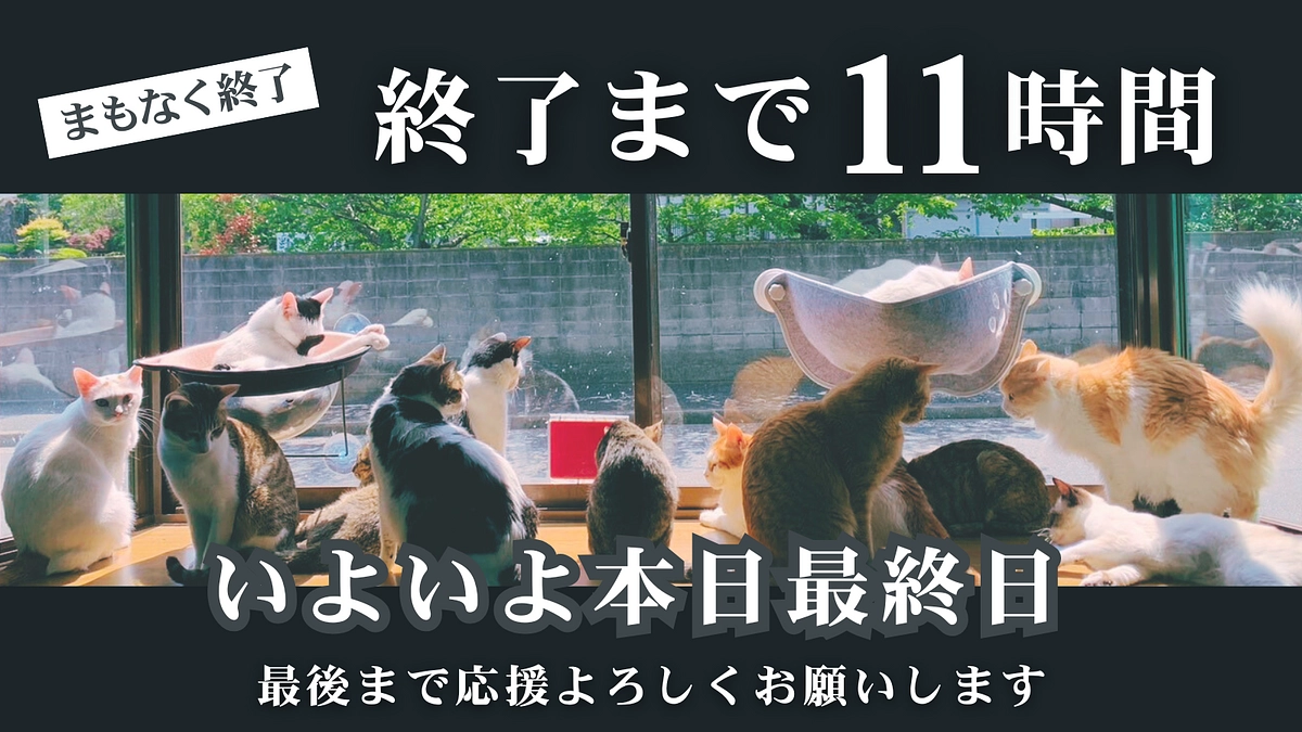 【本日最終日｜終了まであと11時間｜ネクストゴールまで85万円】心からの感謝と、最後のお願い