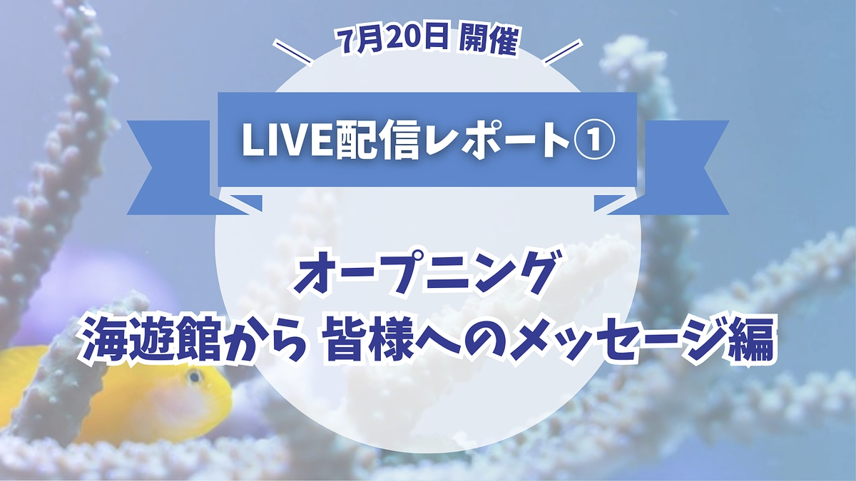 【7/20開催LIVE配信レポート①】オープニング・海遊館から皆様へのメッセージ編
