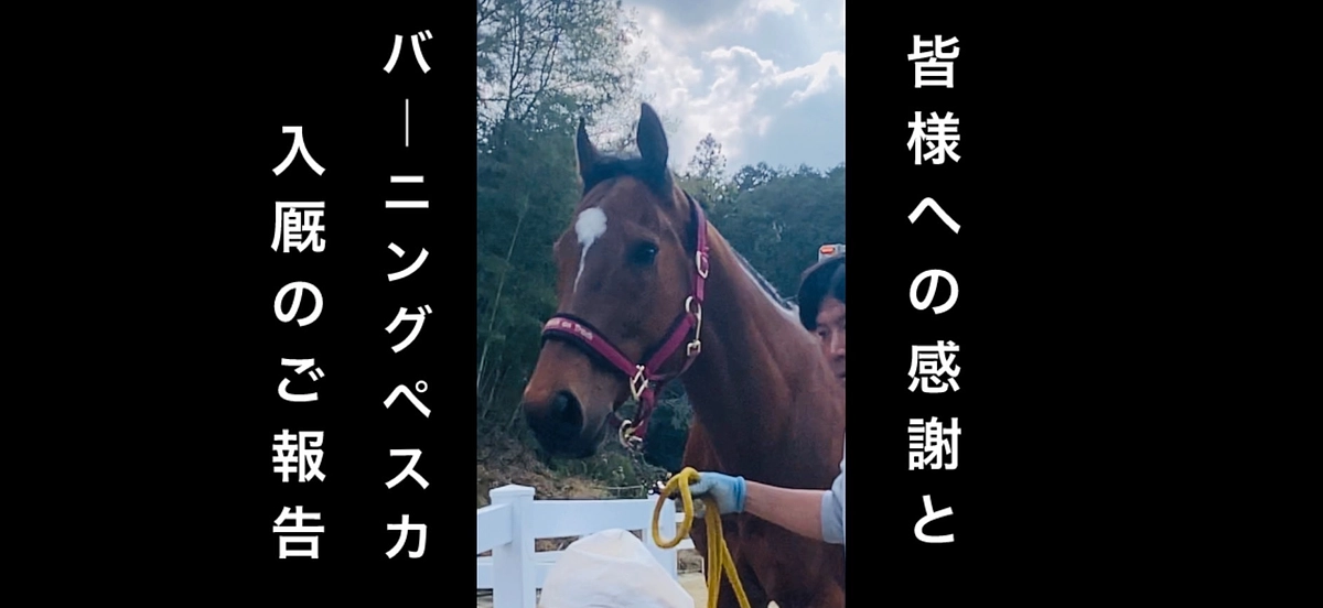 クラウドファンディング終了のお礼とバーニングペスカ入厩のご報告