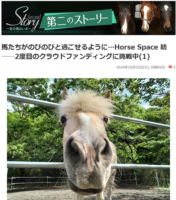 【お知らせ】netkeibaさんに記事が掲載されました！