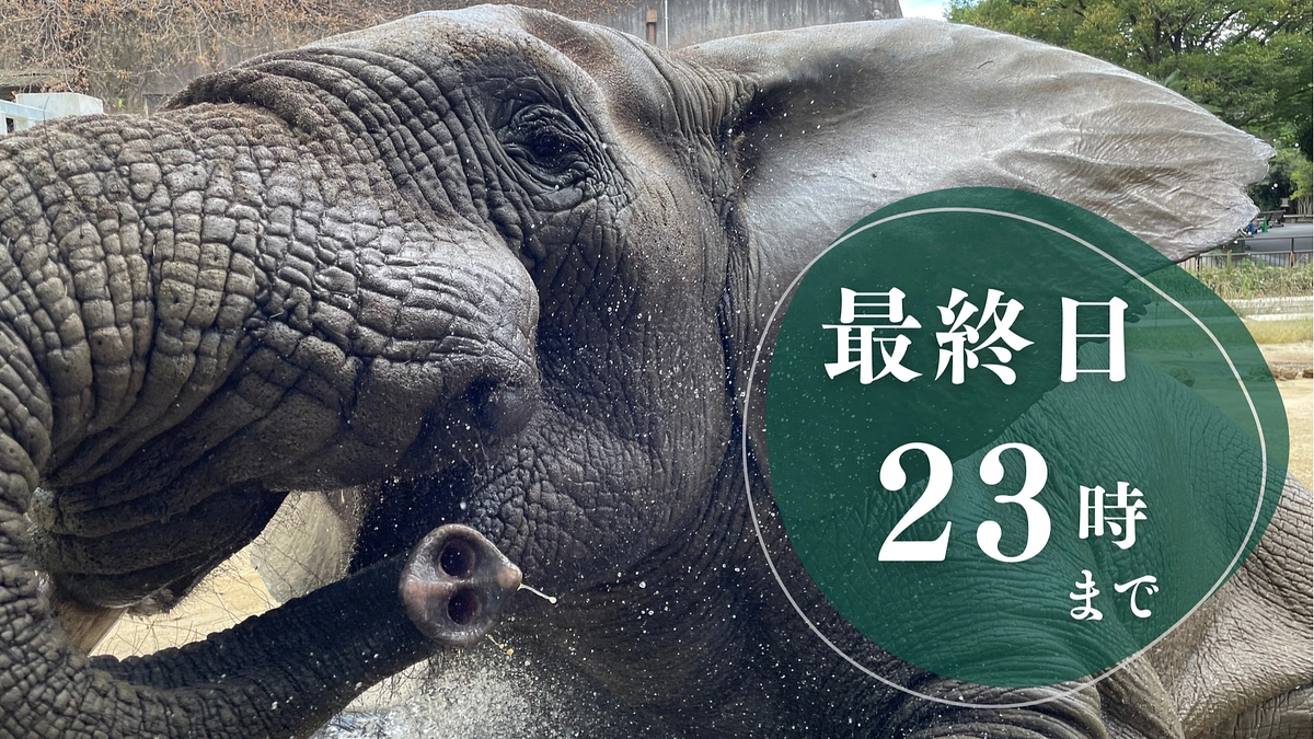 たる募金と缶バッチの売り上げをクラウドファンディングに反映しました