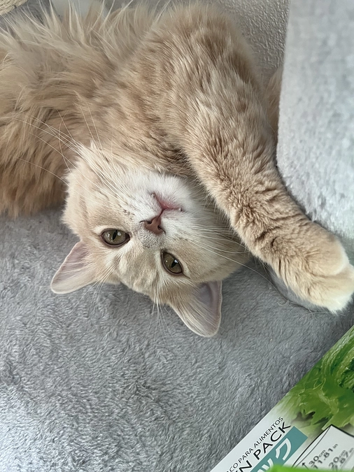 クラウドファンディング終了まで残り24日