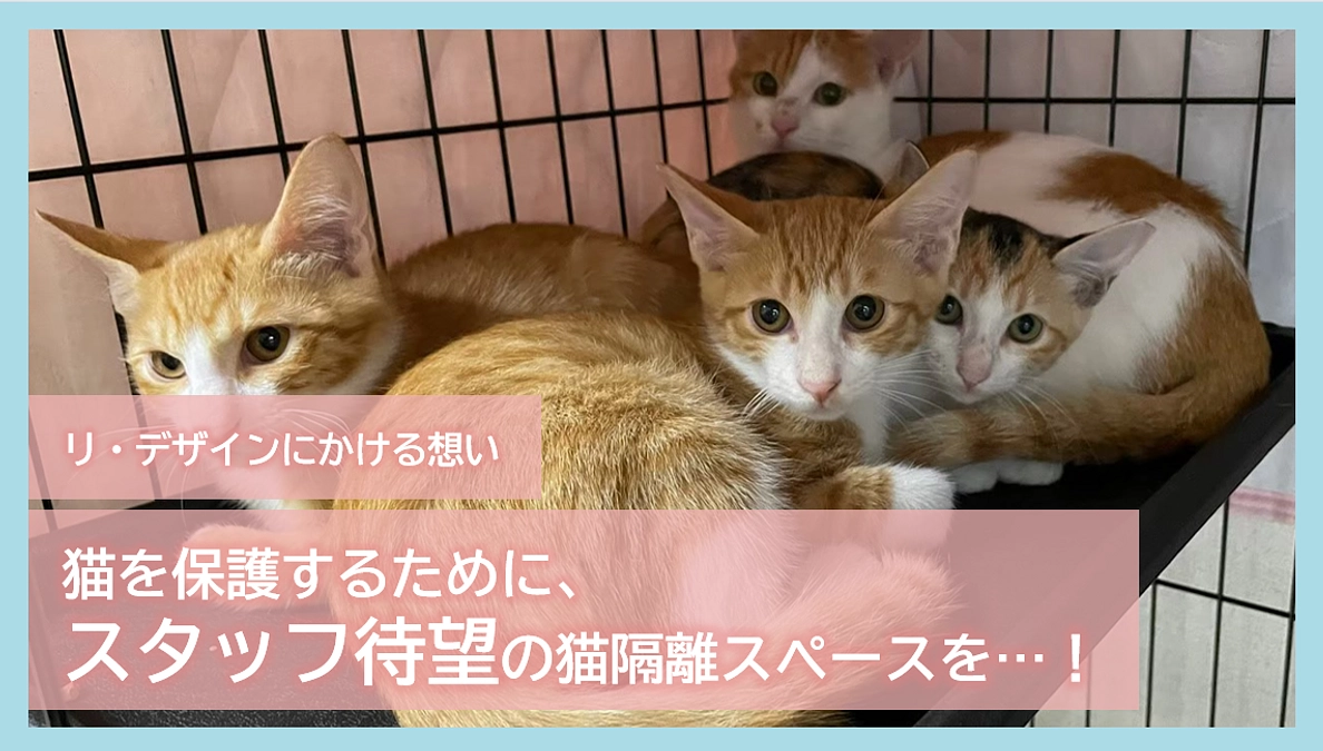 リ・デザインにかける想い｜猫を保護するために、スタッフ待望の猫隔離スペースを…！