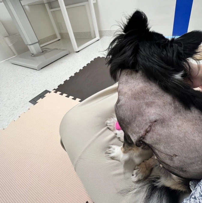 抜糸しました！