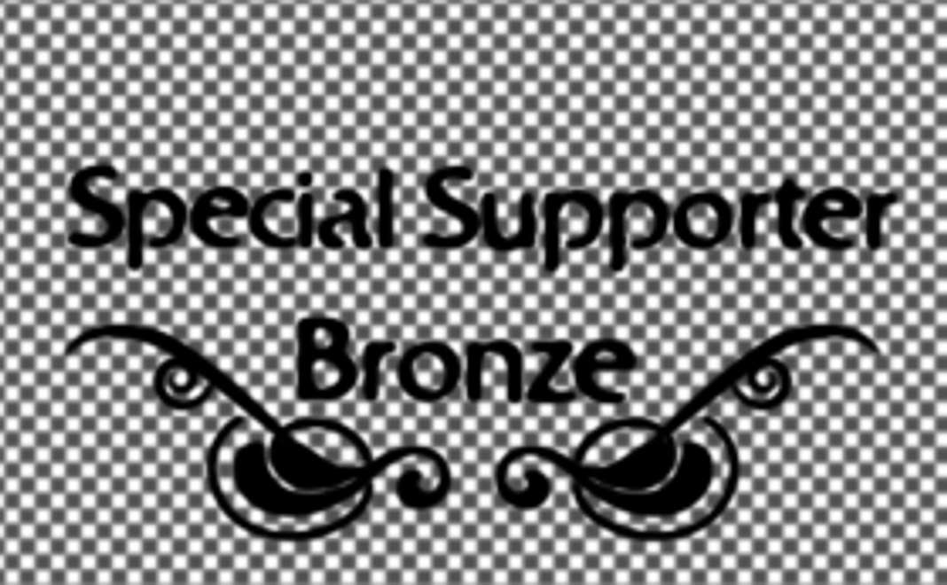 Special supporter Bronze