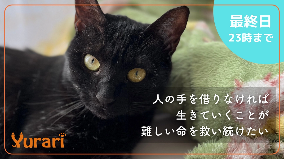 【本日最終日】ご支援は23時まで！