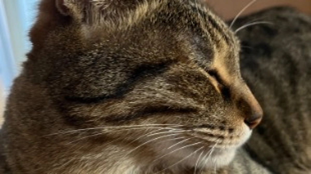 【今日のなっちゃん】6月6日