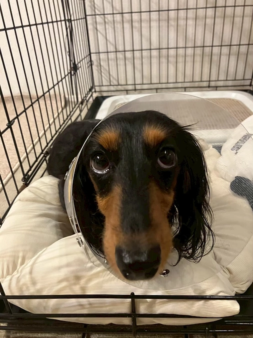 【InstagramとX（旧Twitter）を始めました！】