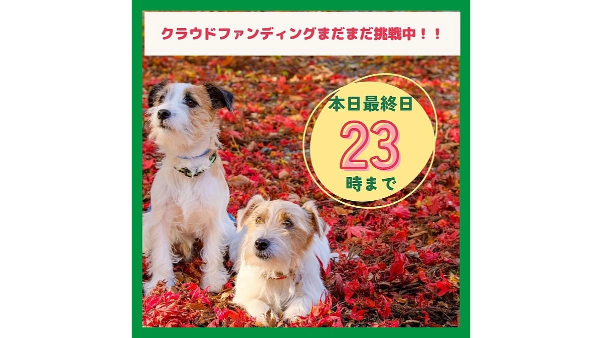 【ワンズ・ラフのストーリー⑭：【WansLaughの心】