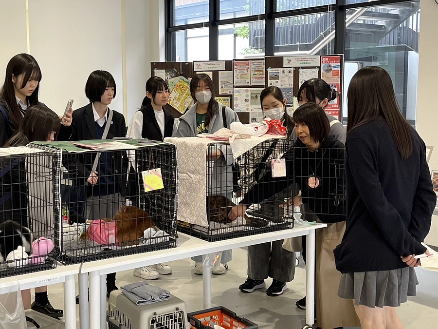 9日の譲渡会・高校生と大学生の挑戦