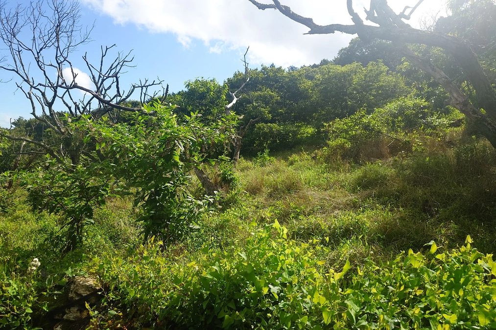 締め切りまで残り8日
