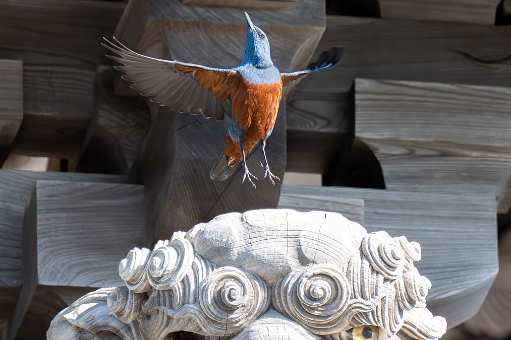 支援が50パーセントを突破しました！