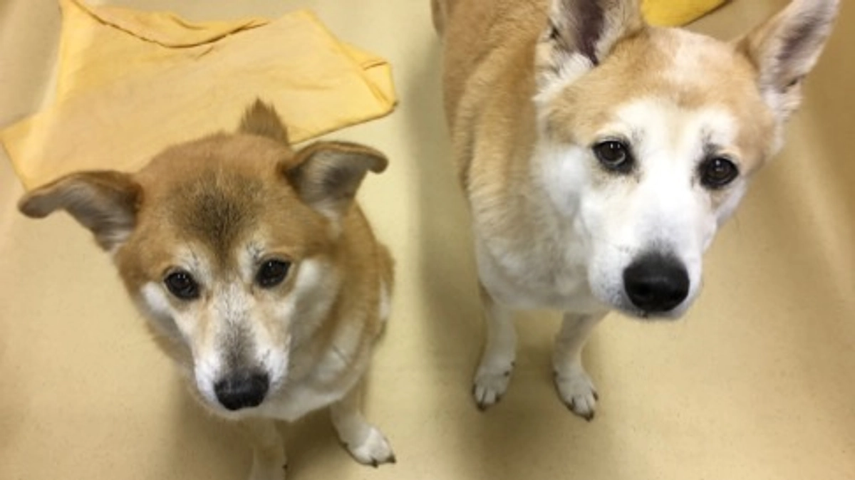 残り【11日】最後まで全力で発信を続けてまいります。