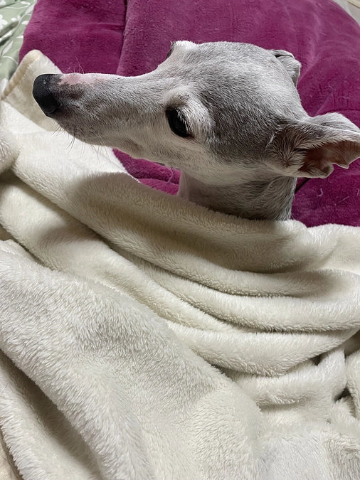 残り20日　達成率2%