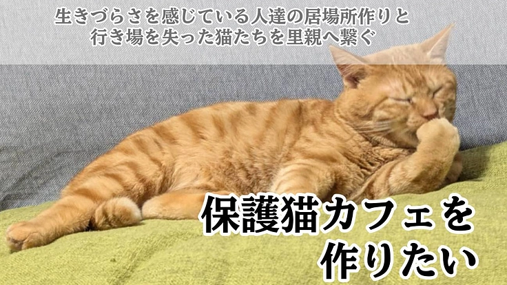 就労継続支援B型事業所（保護ネコカフェ、動物同伴民泊）を開設したい