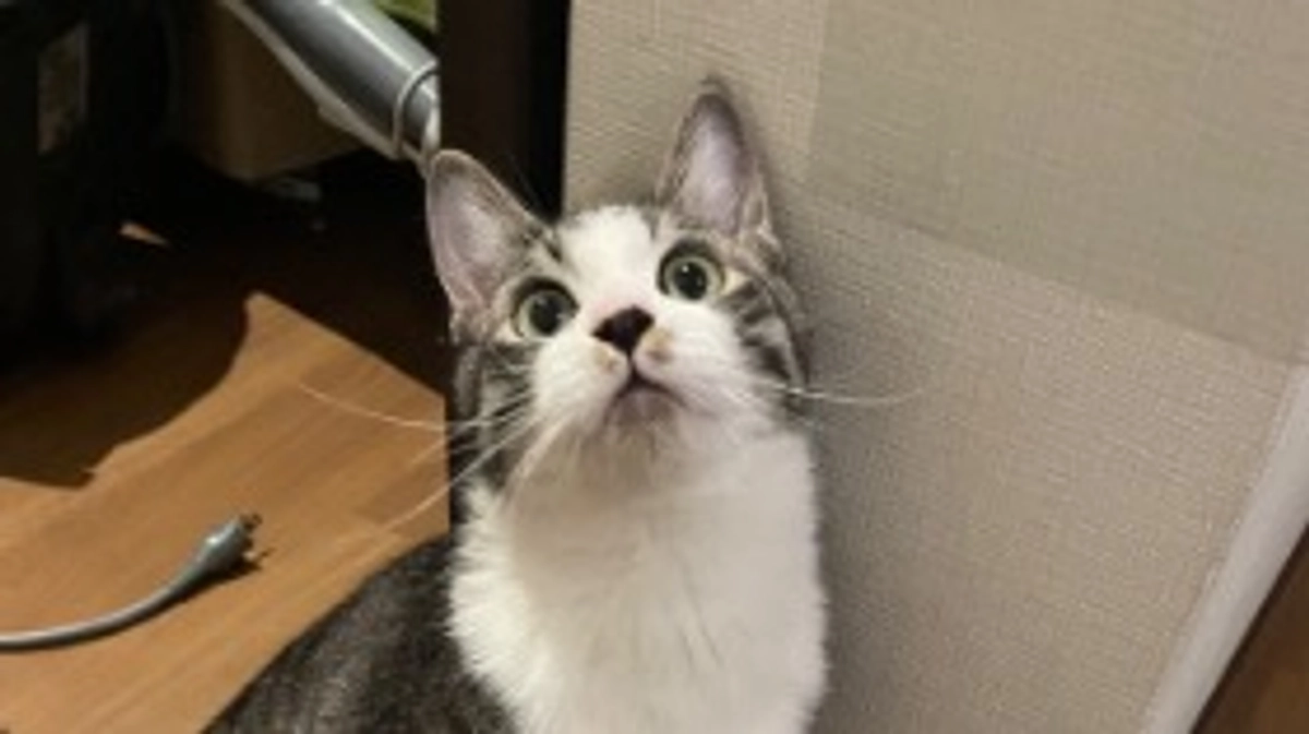 残り一週間を切りました