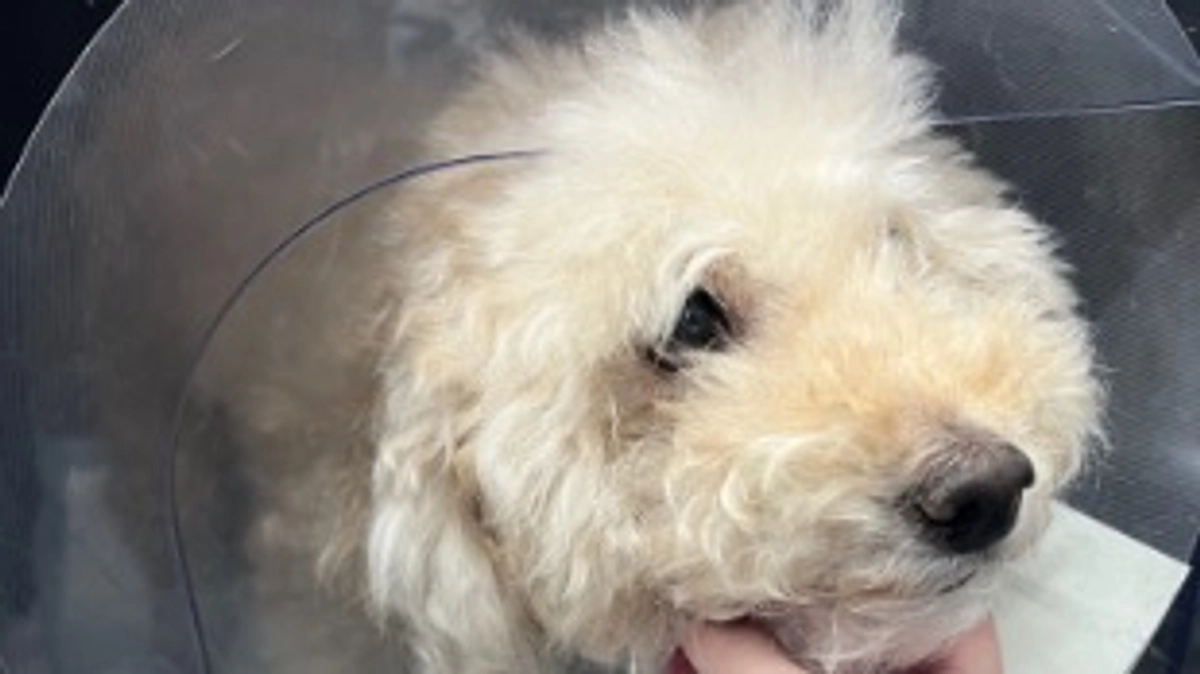 残り30時間です😭 / 術後面会へ行ってきました