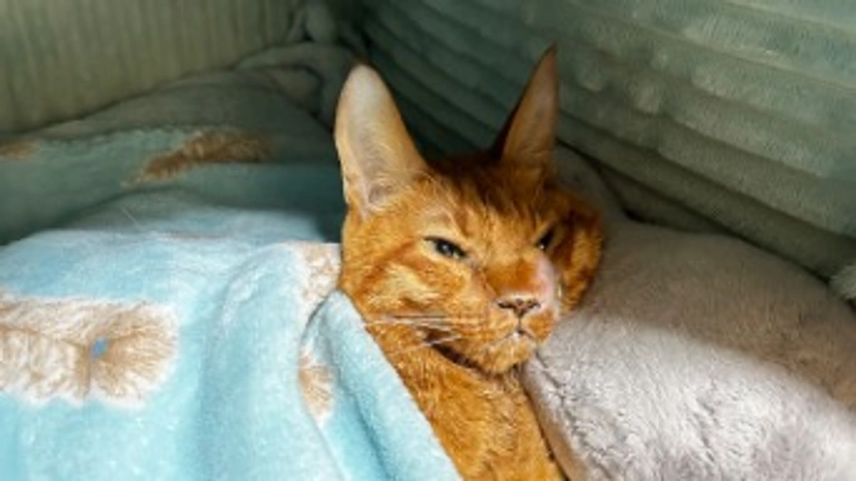 9/15の通院の状況です