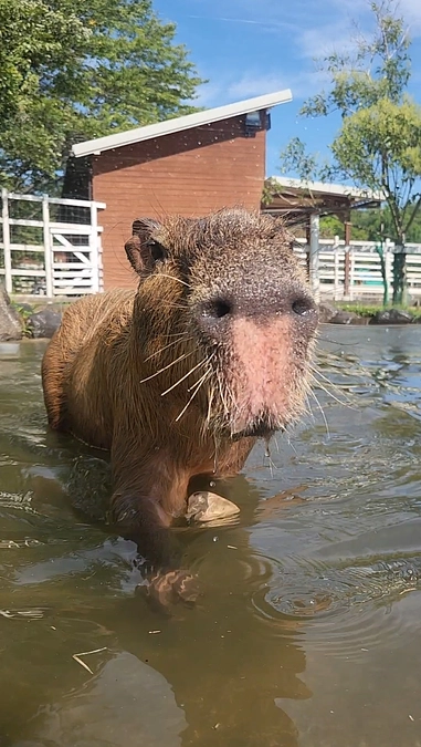 ⭐イベント決定⭐