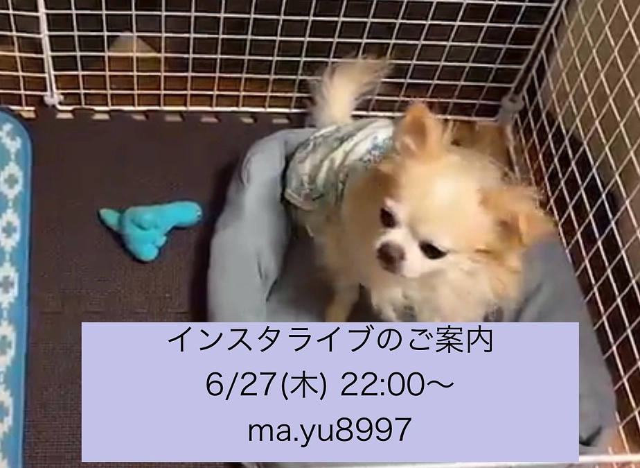 初めてインスタライブをさせていただきました！明日も22:00よりライブします!