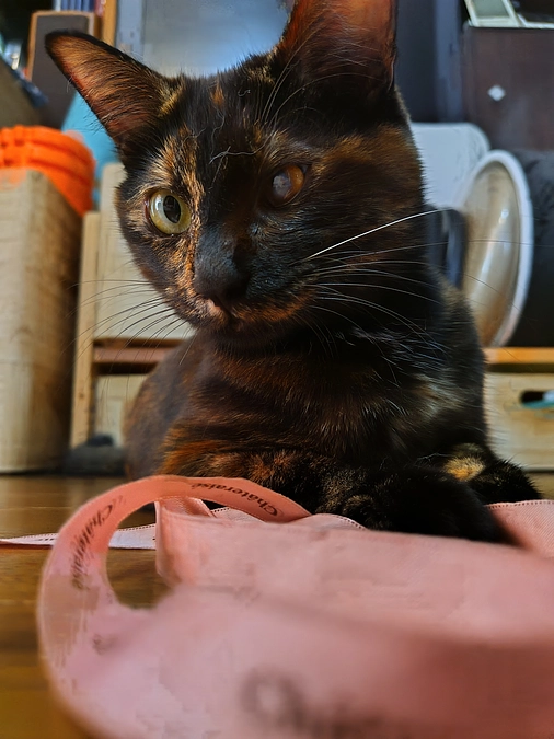 経過観察　番外編