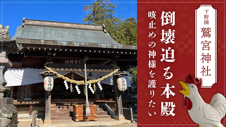 下野國のお酉様・鷲宮神社|咳止めの神様を護るため本殿修復にご支援を