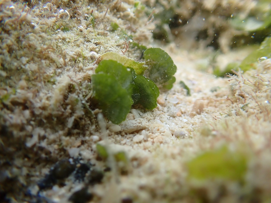 200年の謎を解き明かした話