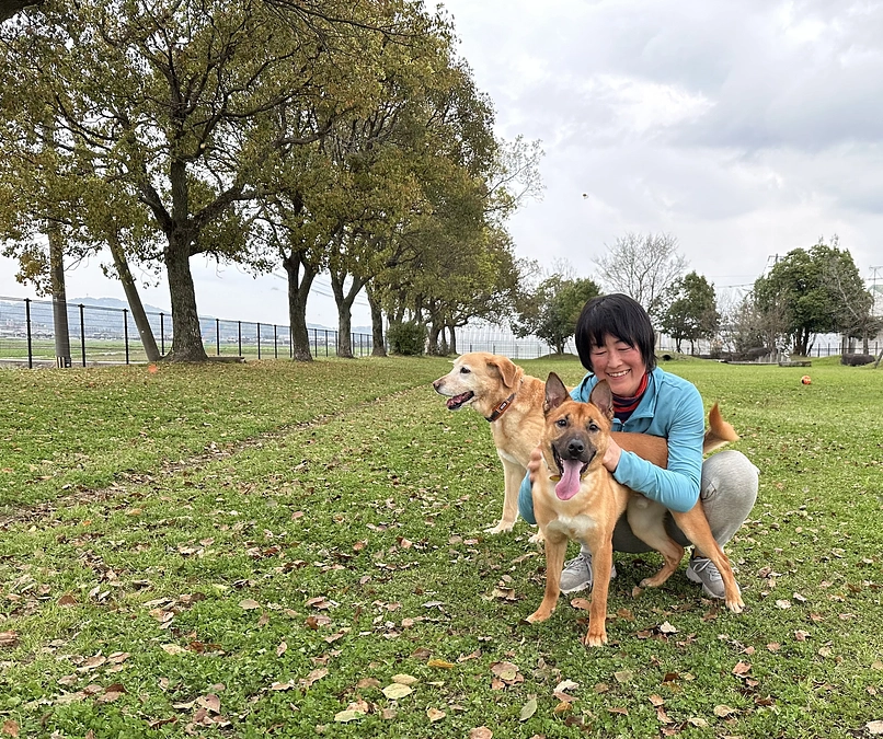 応援メッセージNO3  熊本県登録譲受団体｢レスキューさくら会」　東真由様より