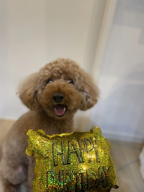 達成することが出来ました！