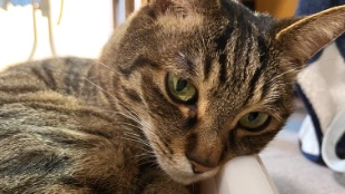 【今日のなっちゃん】6月19日