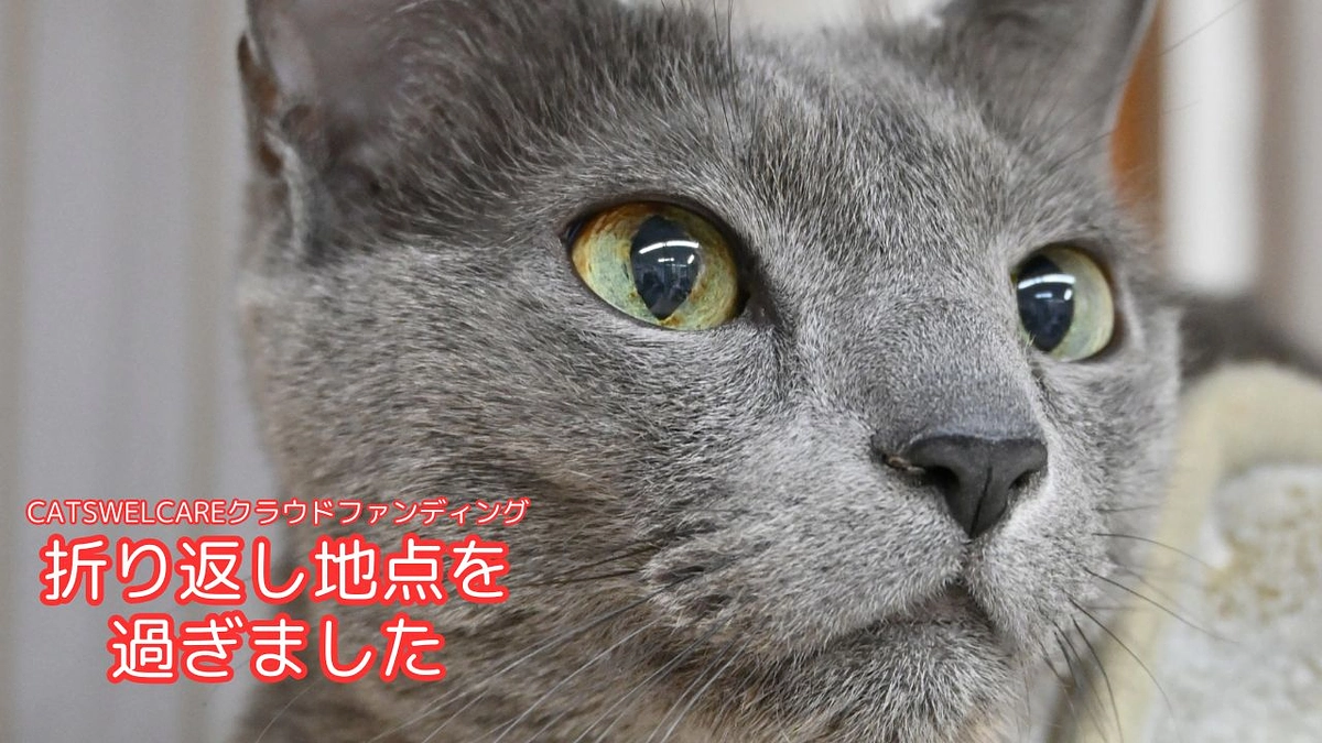 ～折り返し地点を過ぎました～