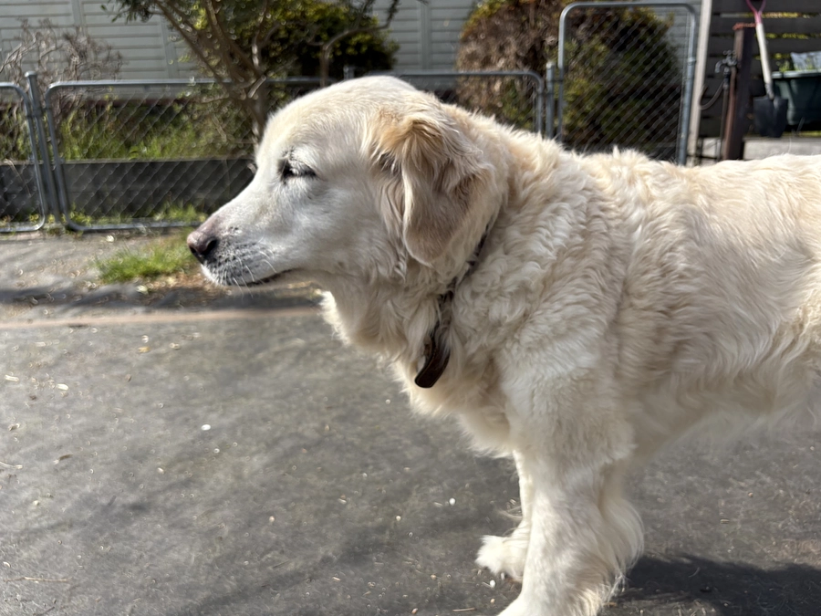 あと２日‼️7割目前‼️