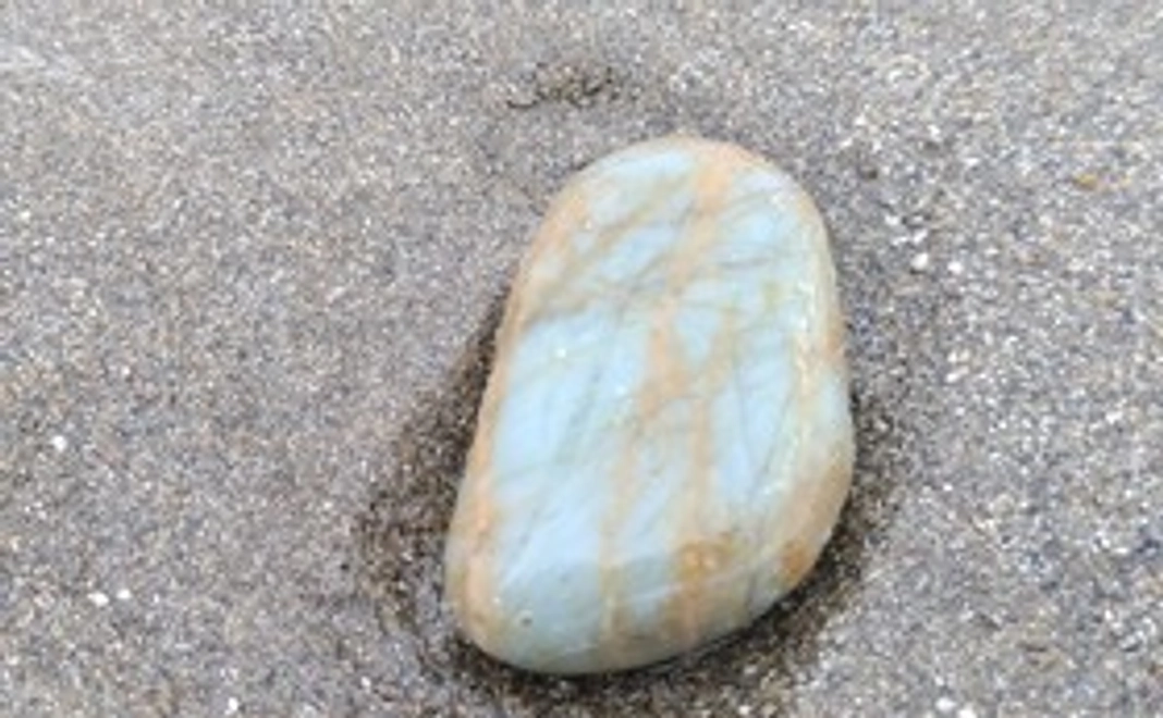 砂浜のきれいな小石と活動報告