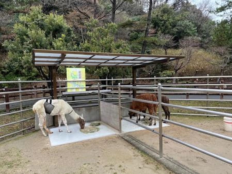 【活動報告88】ラマ舎、最後の工事が終わりました！！