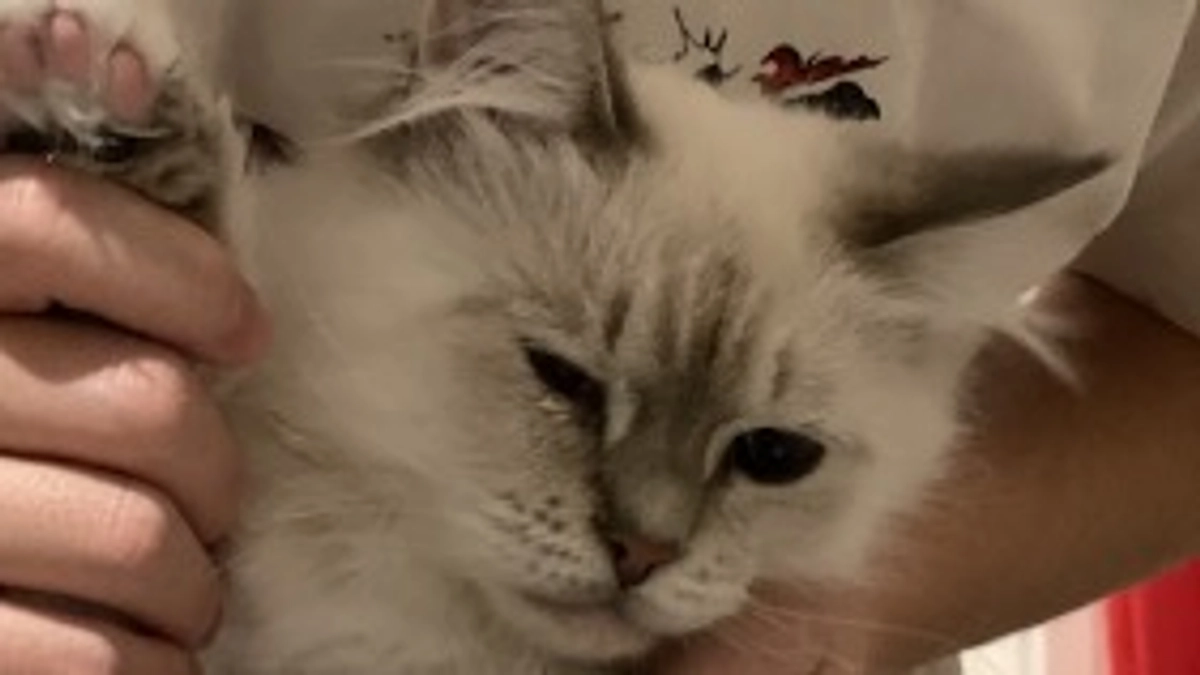 【1日遅れましたが、達成のご報告いたします】