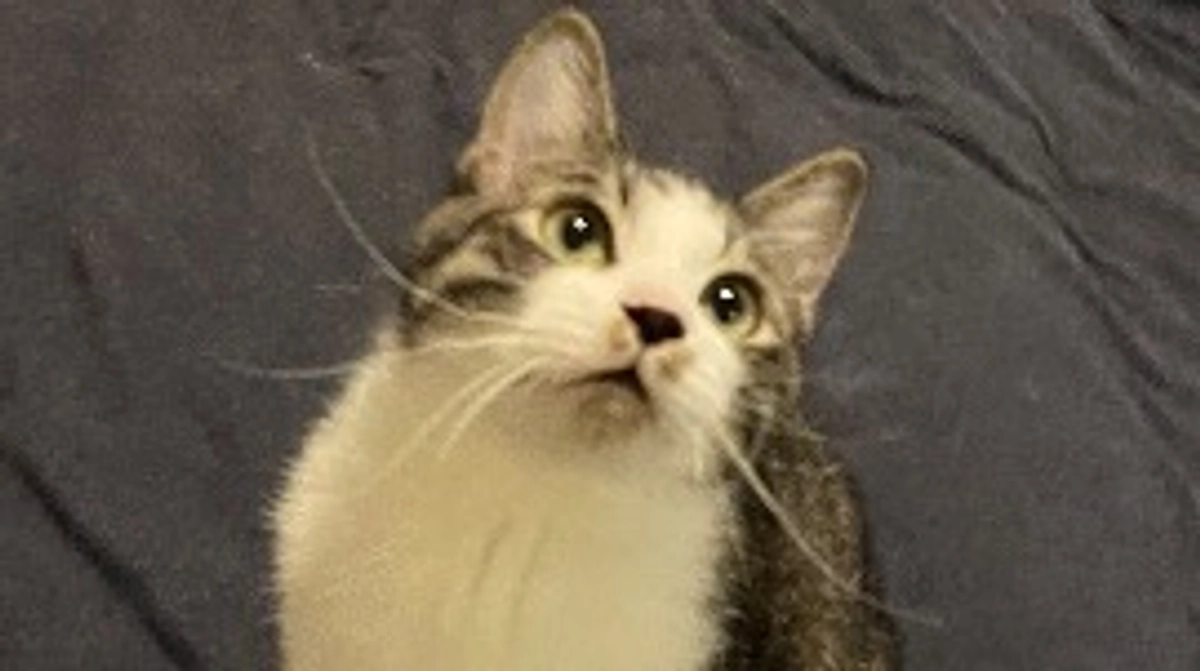 目標達成しました。