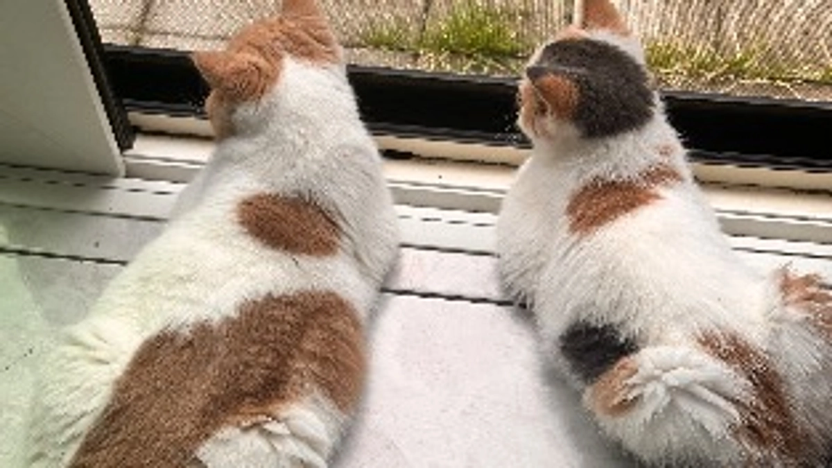 あと12時間で終了です‼️