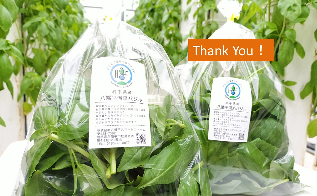 【八幡平スマートファーム産】温泉バジル2パック応援コース