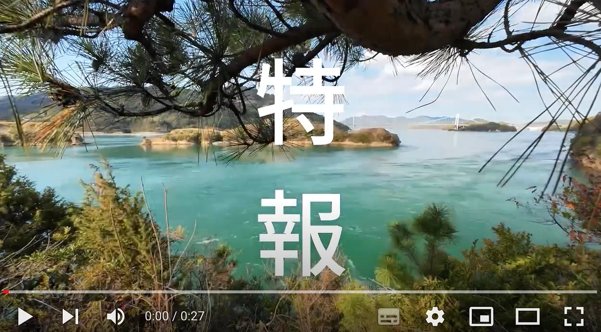 【動画：特報第2弾】その潮流を畏れる念を抱き